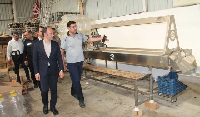 Erzin Kaymakamı Akpınar'dan Gökdal Zeytincilik'e Ziyaret