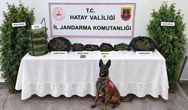 Hatay'da evinde uyuşturucu ele geçirilen şüpheli yakalandı