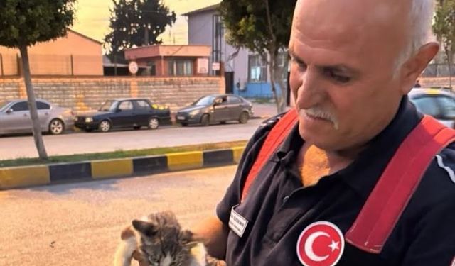 Hatay’da Mahsur Kalan Hayvanları İtfaiye Kurtardı