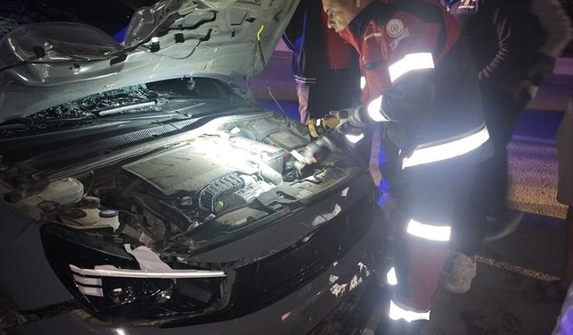 Hatay'da otomobilin çarptığı anne ve kızı öldü