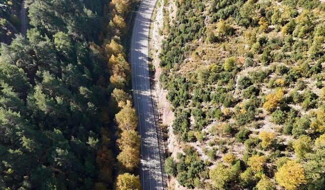 Isparta'nın yaylaları sonbaharın renklerine büründü
