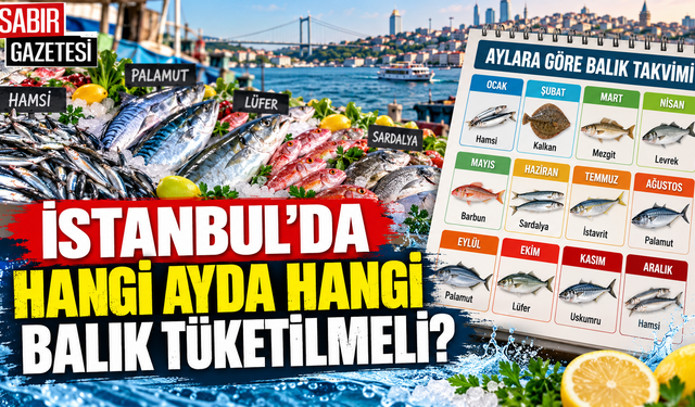 İstanbul'da Hangi Ayda Hangi Balık Tüketilmeli?