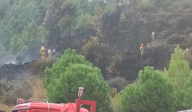 Mersin'de orman alanı dışındaki arazide çıkan yangın söndürüldü