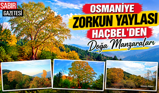 Osmaniye Zorkun Yaylası Haçbel'den Doğa Manzaraları