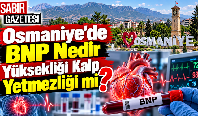 Osmaniye’de BNP Nedir Yüksekliği Kalp Yetmezliği mi?