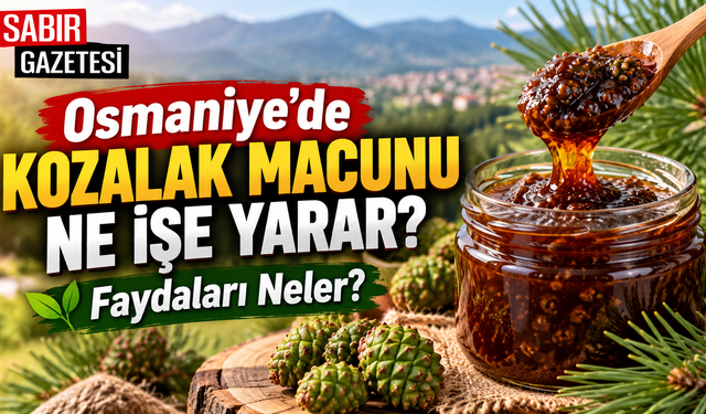 Osmaniye’de Kozalak Macunu Ne İşe Yarar Faydaları Neler?