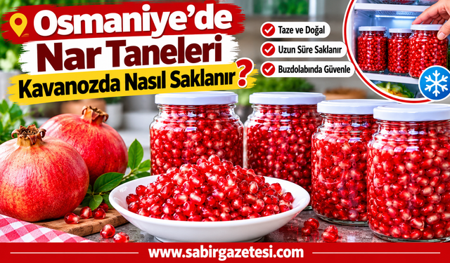 Osmaniye’de Nar Taneleri Kavanozda Nasıl Saklanır?