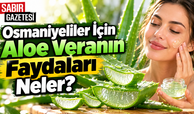 Osmaniyeliler İçin Aloe Veranın Faydaları Neler?