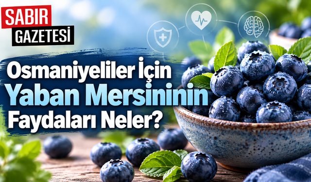 Osmaniyeliler İçin Yaban Mersininin Faydaları Neler?