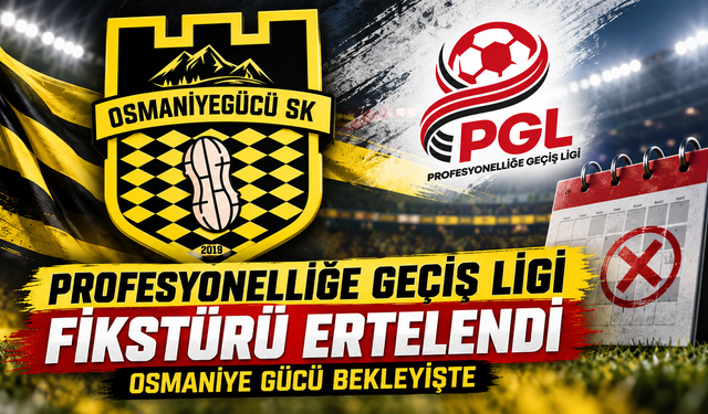 Profesyonelliğe Geçiş Ligi Fikstürü Ertelendi