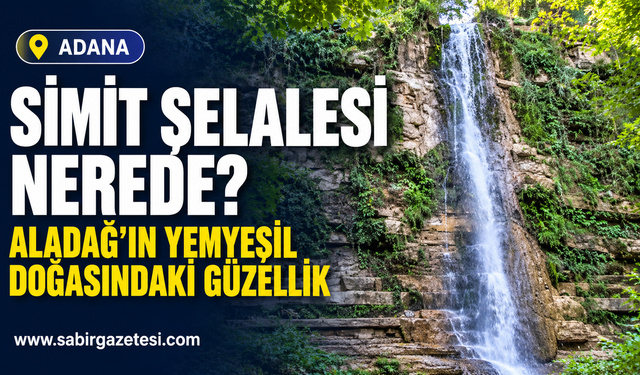 Aladağ'ın Yemyeşil Doğasındaki Güzellik Simit Şelalesi