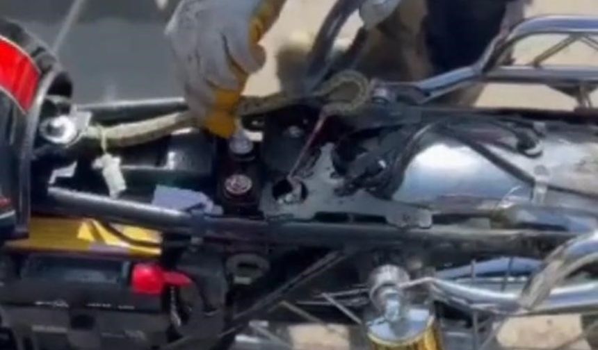 Motosiklete giren yılan, ekipler tarafından çıkarıldı