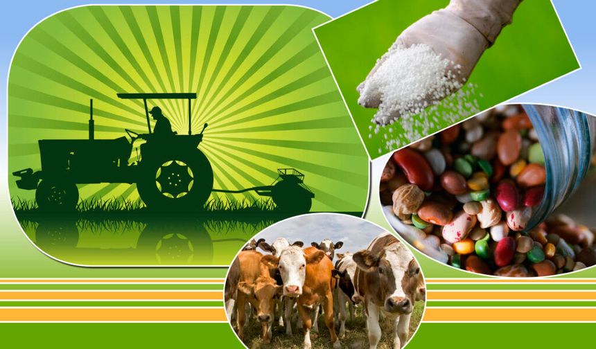 Osmaniye’de Genç ve Kadın Çiftçilere Küçükbaş Teşviği