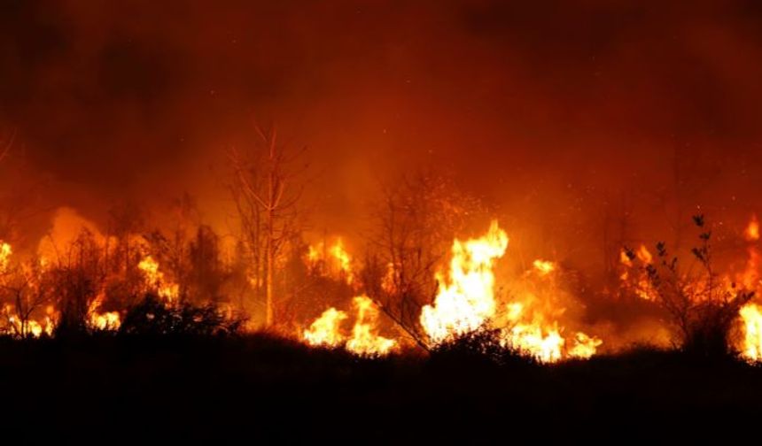 Çanakkale’nin Eceabat İlçesinde Orman Yangınına Havadan ve Karadan Müdahale Ediliyor