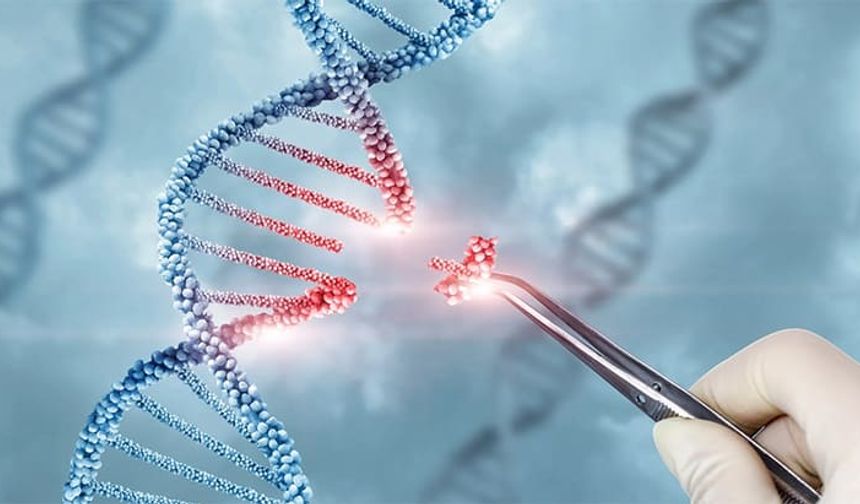 Bilim Dünyasını Sarsan Teori!