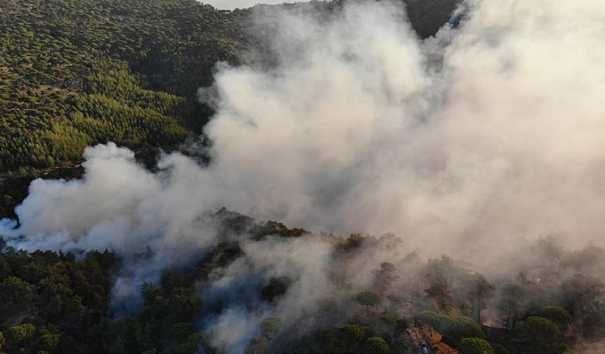 Çankırı'nın Ilgaz İlçesinde Orman Yangını: 4 Köy Tahliye Edildi