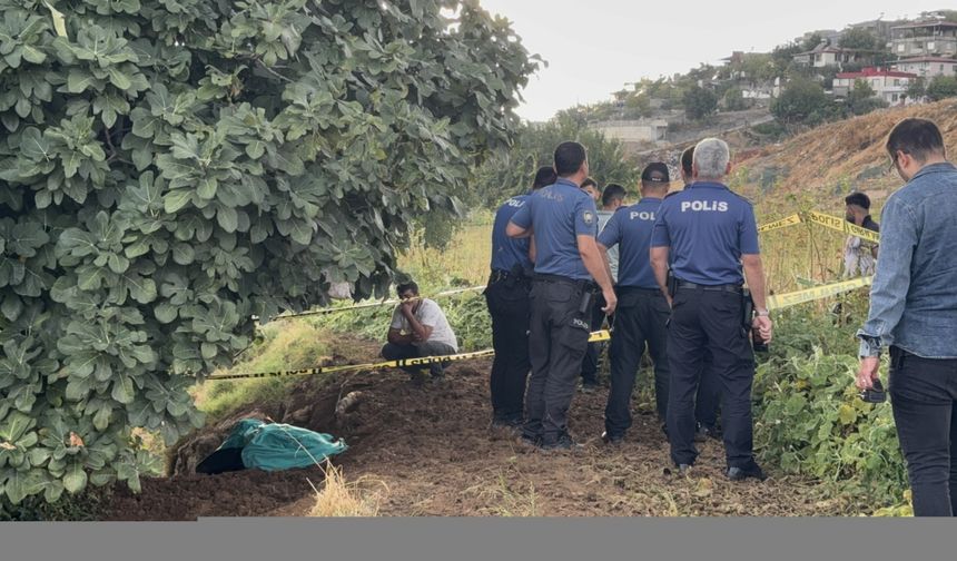 Kahramanmaraş'ta yıldırım isabet eden çoban öldü