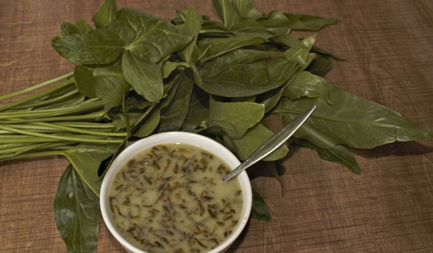 Tırşik: Pancarın Şifaya Yolculuğu