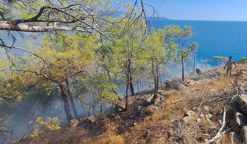 Mersin'de çıkan orman yangını kontrol altına alındı