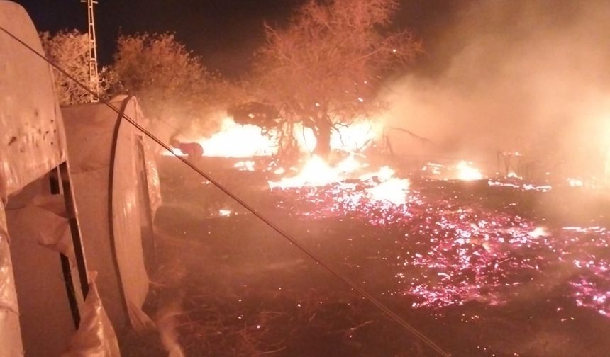 Mersin'de zirai alanda çıkan yangın kontrol altına alındı