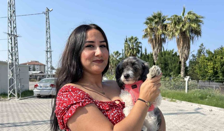 Aylardır sahibine ulaşılamayan Şila’nın yeni yuvası depremzede ailenin konteyneri oldu