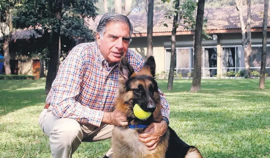 Ratan Tata’dan Sadık Dostu Tito’ya Büyük Jest: Mirasını Köpeğine Bıraktı