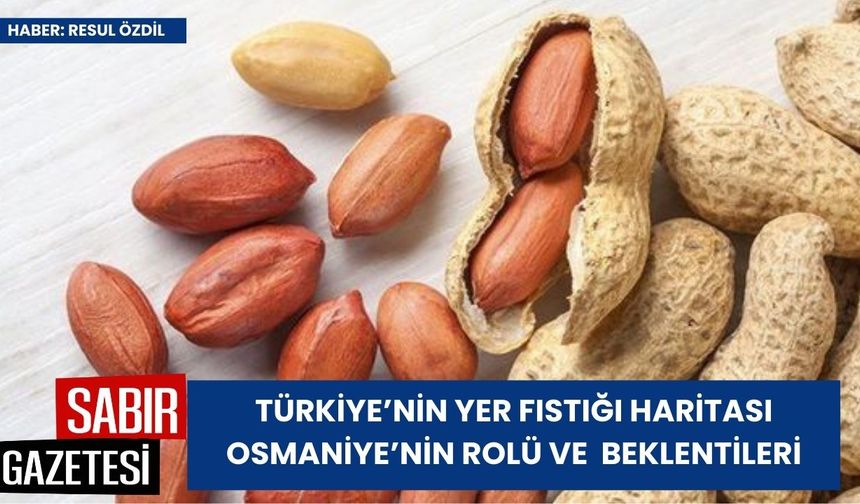 Türkiye’nin Yer Fıstığı Haritası: Osmaniye’nin Rolü ve Gelecek Beklentileri