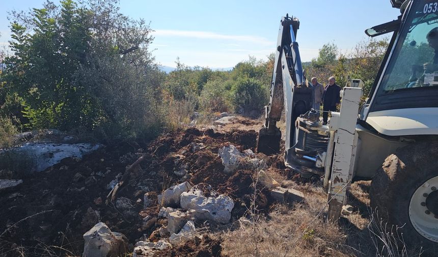 Mersin'de yem tedariki yapılmadığı ileri sürülen çiftlikteki tavuklar telef oldu