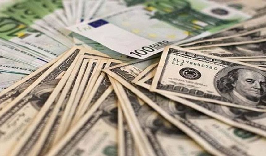 Trump'ın Zaferi Sonrası ABD Doları Güç Kazandı, TL ve Euro Hareketli