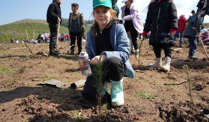 Manisa'da Milli Ağaçlandırma Günü Etkinlikleri Kapsamında 1600 Fidan Dikildi