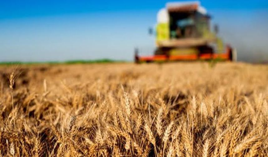 FAO Mayıs Raporunu Açıkladı: Gıda Fiyatları Geriledi