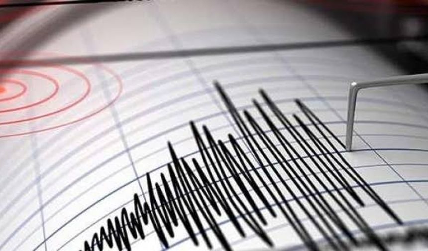 AFAD Risk Haritasını Güncelledi: İzmir Birinci Sırada, Osmaniye Yüksek Riskte