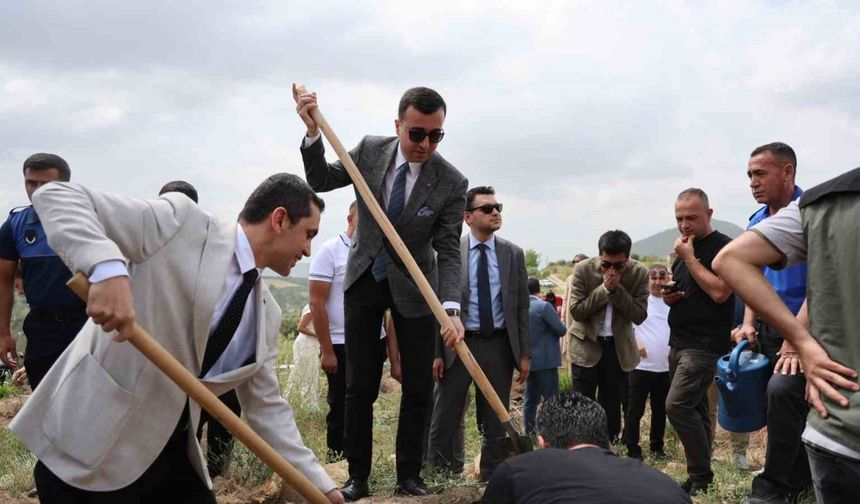 Hakim, savcı ve hükümlüler yanan ormanı yeşertmek için fidan dikti
