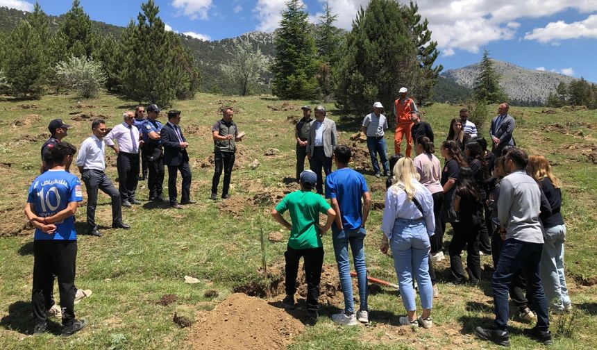 Isparta'da Dünya Tütünsüz Günü'ne dikkat çekmek için ağaç dikildi