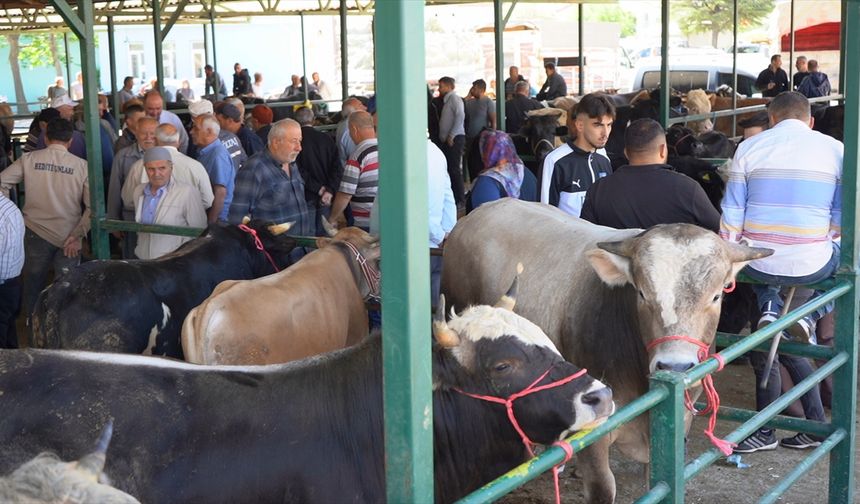 Isparta'da Kurban Bayramı öncesi hareketlilik yaşanıyor