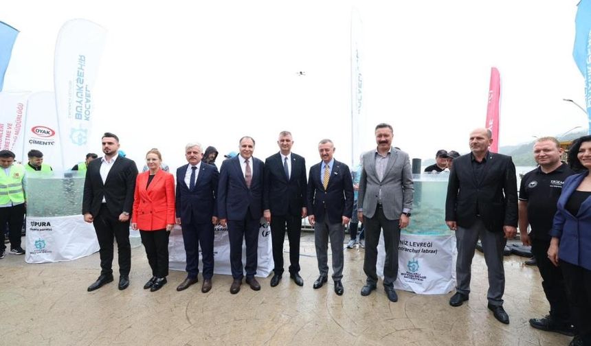 İzmit Körfezi’ne 54 Bin Balık Salındı