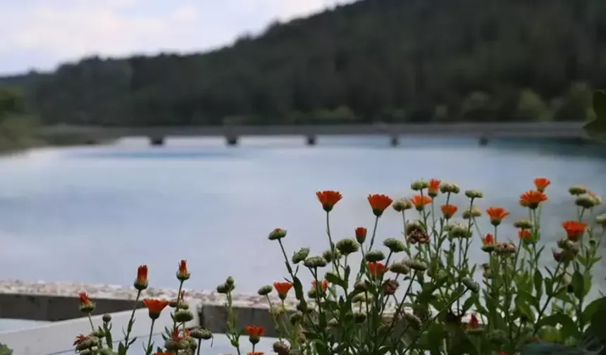 Adana’da Doğa Tutkunlarının Yeni Adresi