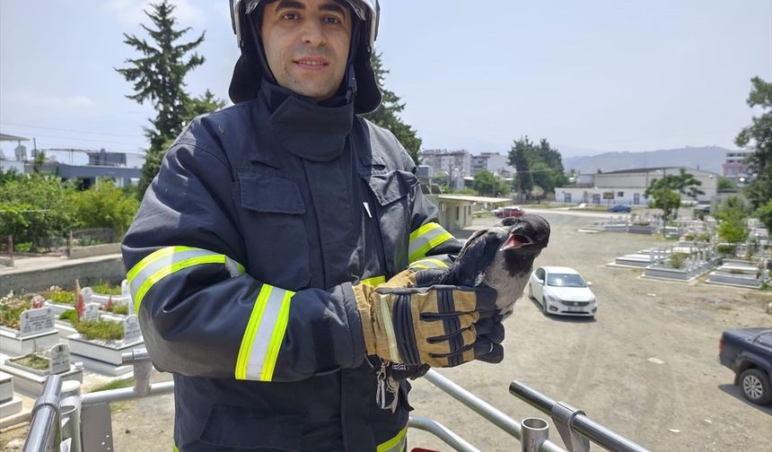 Hatay'da ağaçtaki ipe dolanan kargayı itfaiye kurtardı