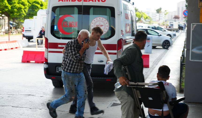 Gelenek Yine Bozulmadı Acemi Kasaplar Hastanelik Oldu