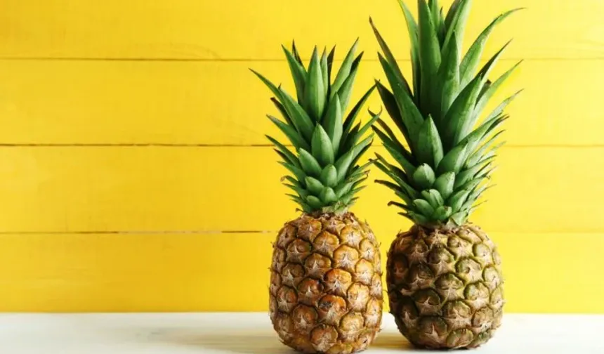 Osmaniyeliler Ananas Sirkesiyle Zayıflıyor