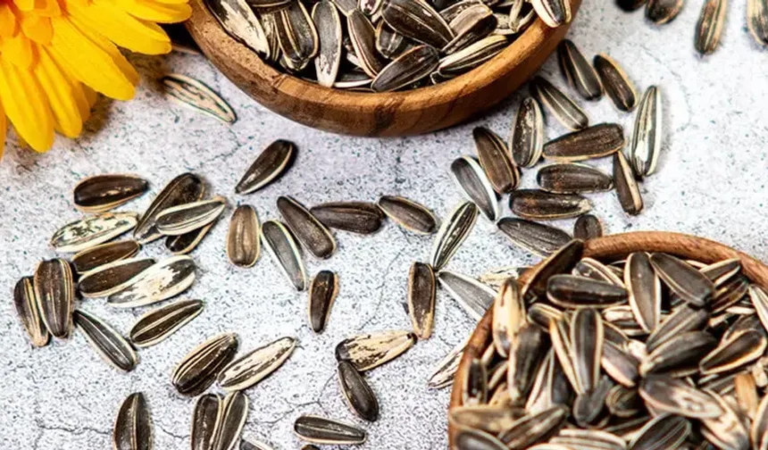 Ay Çekirdeği Osmaniyelilere Şifa Saçıyor: Günde 30 Gram Yeter