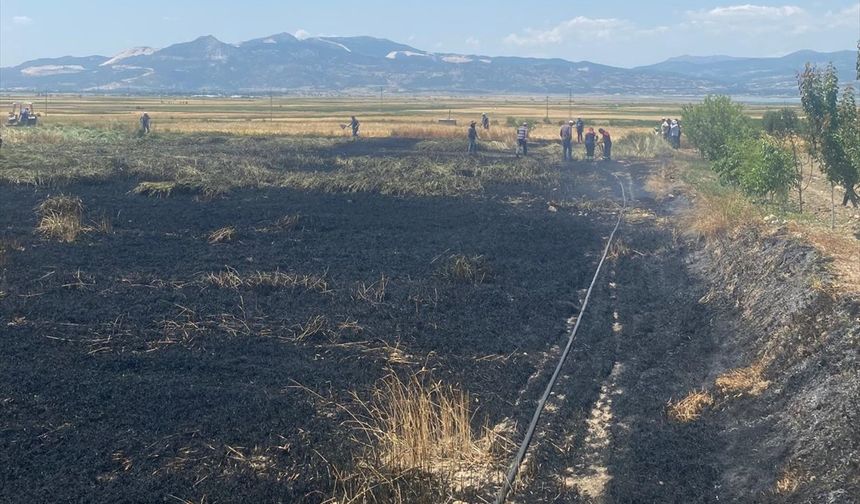 Burdur'da buğday tarlasında çıkan yangın söndürüldü