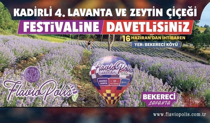 Osmaniyeliler 4. Lavanta Festivali’nde Buluşuyor