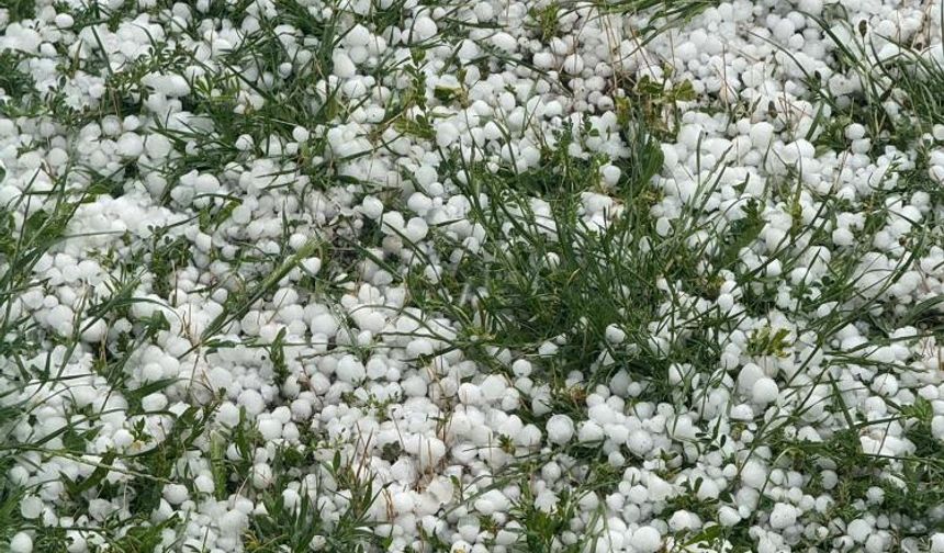 Yozgat’ta dolu tarımı olumsuz etkiledi