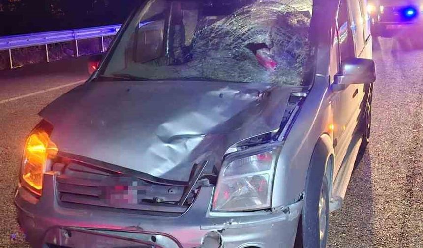 Elazığ’da Trafik Kazası Can Aldı Yolun Karşısına Geçerken Hayatını Kaybetti