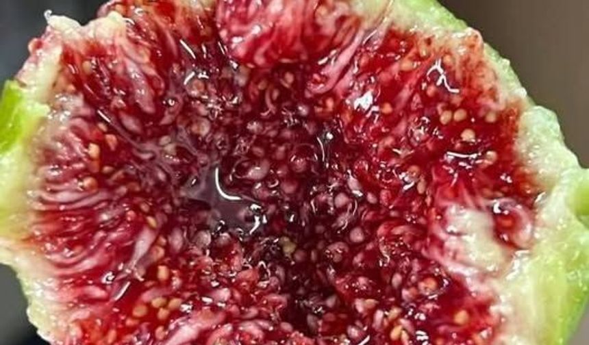 Osmaniye İnciri Ağzından Bal Akan Lezzet
