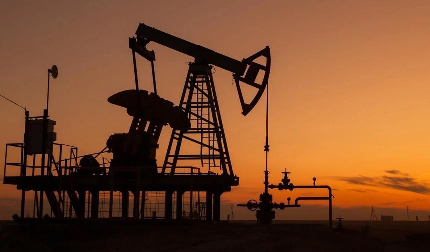 Brent petrolün varili 69,31 dolar
