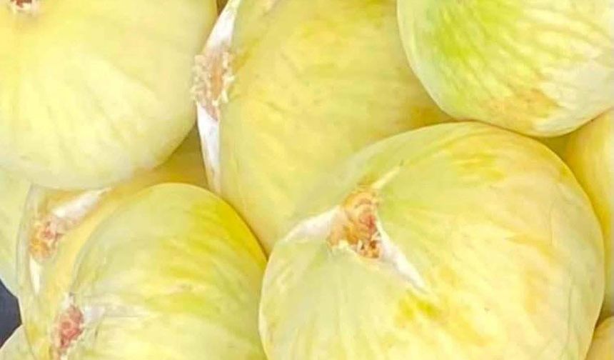 Doğadaki mucizevi denge insanı tefekküre davet ediyor