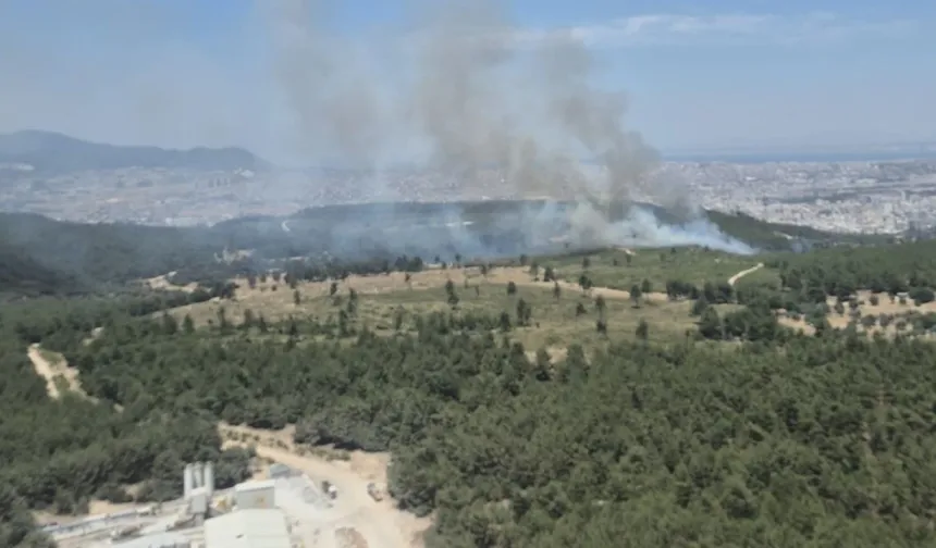Balıkesir ve Diyarbakır'da Orman Yangınları Sürüyor