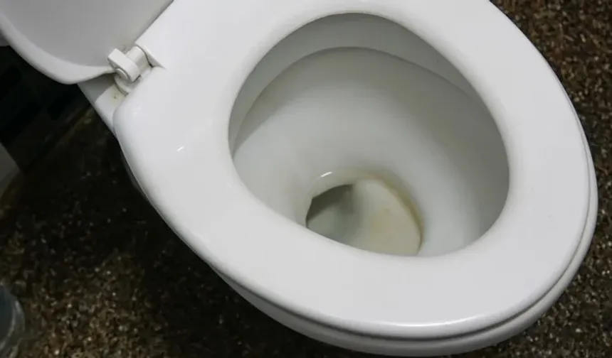 Osmaniyeliler, Bu Detayı Biliyor mu?